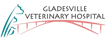 Gladesville Veterinary Hospital - Vet Australia