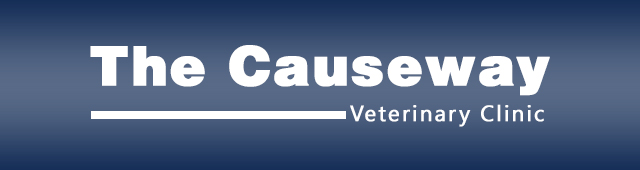 The Causeway Veterinary Clinic - Vet Australia